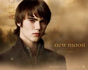 New-moon-wallpaper-alec
