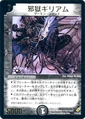 Dm-p14-y1