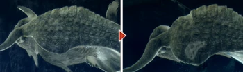 Ceadeus-Hood.png
