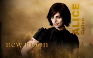 Alice Cullen1232