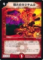 Dm-p17-y5