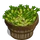 Wasabi Bushel-icon