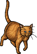 Die WindClan-Chroniken Dawncloud.queen
