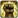 Martyr's Protection