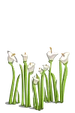 Wildflowers-icon.png