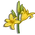 Daylily-icon