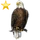 Item baldeaglegold 02