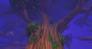 Nordrassil-canopy