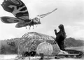 Mothra-9