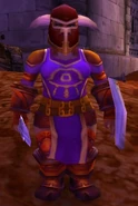 Nethergarde Soldier 2