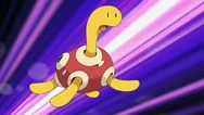 Conway Shuckle