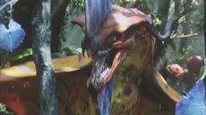 TORUK