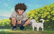 http://images1.wikia.nocookie.net/__cb20100726081605/naruto/pl/images/thumb/0/0d/Kiba_as_a_little_child.jpg/180px-Kiba_as_a_little_child.jpg