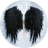 Wings2