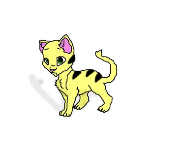 crookedstar warriors