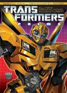 Prime-cover-bumblebee