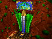 CactusO'StrengthBT
