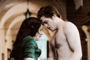 Edward and bella in volterra