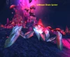 Crimson Shale Spider