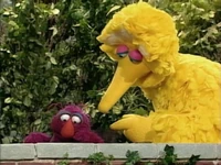 TellyFlea