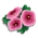 Hollyhock-icon