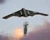 MOAB icon