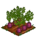 Heirloom Carrot extra100