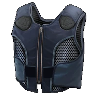 Huge item PanelVest 01.gif
