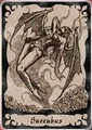 Pachislot2 Succubus Card