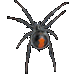 Item RedBackedSpider 01