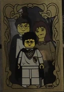 Mirroroferised