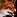 IconSmall Fox