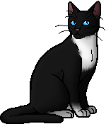 Die WindClan-Chroniken Whitethroat.warrior