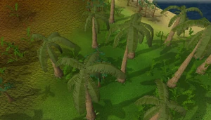 Karamja.png