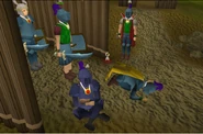 PVP5