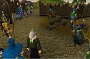PVP8