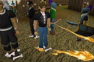 PVP12