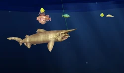 N test fishing