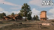 Rdr wolf02