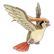 Pidgeot