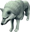 Wolf25