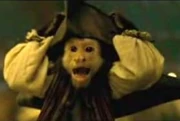 Jack monkey