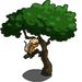 Pygmy Marmosets-icon