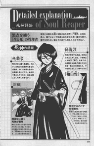 Soulreapermaskedpage2