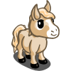 Cream Mini Foal