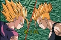 Shin butoden 10