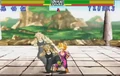 Shin butoden 11