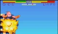 Shin butoden 24