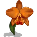 Orchids Orange-icon