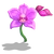 Orchids Pink-icon